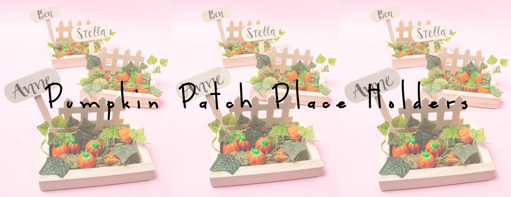 DIY - PUMPKIN PATCH PLACE HOLDERS