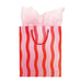 Fussy Stripe Gift Bag - The Social Type