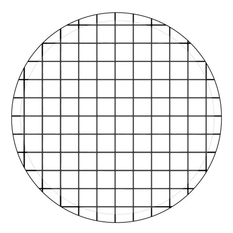 BLACK AND WHITE GRID LARGE PLATES