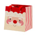 SANTA FACE GIFT BAG SET