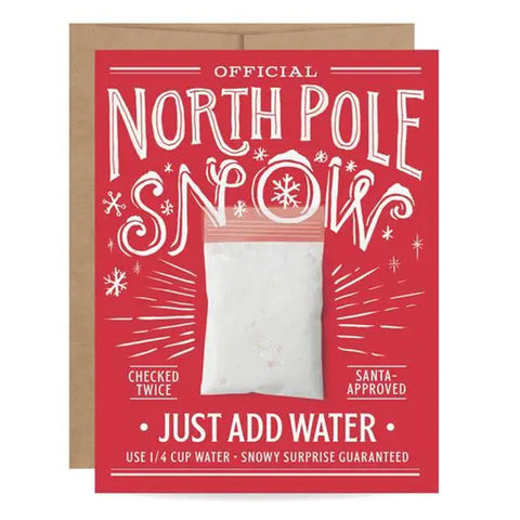 Mail A Snow Ball Holiday Card - Inklings Paperie