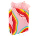 Rainbow Ribbon Gift Bag - The Social Type