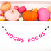 "Hocus Pocus" Felt Letter Banner